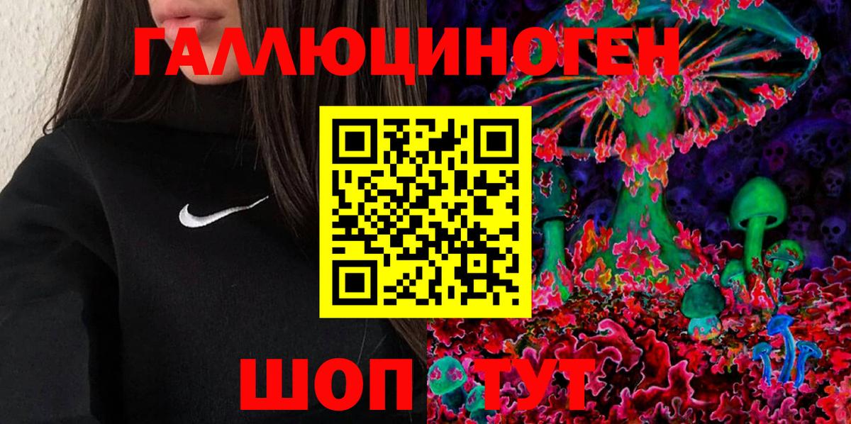 Псилоцибиновые грибы Cubensis  Вход с VPN  Химки 
